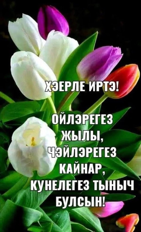 хаерле ирталар