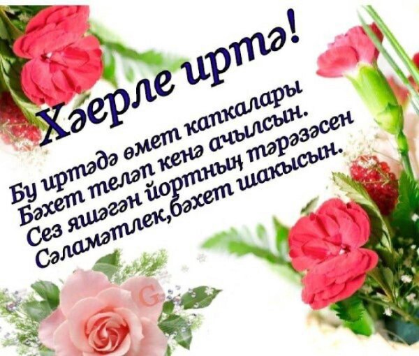 добрый день на татарском языке