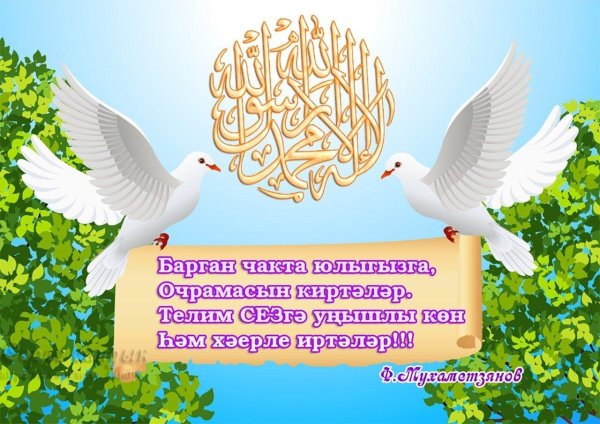 дусларга картинки