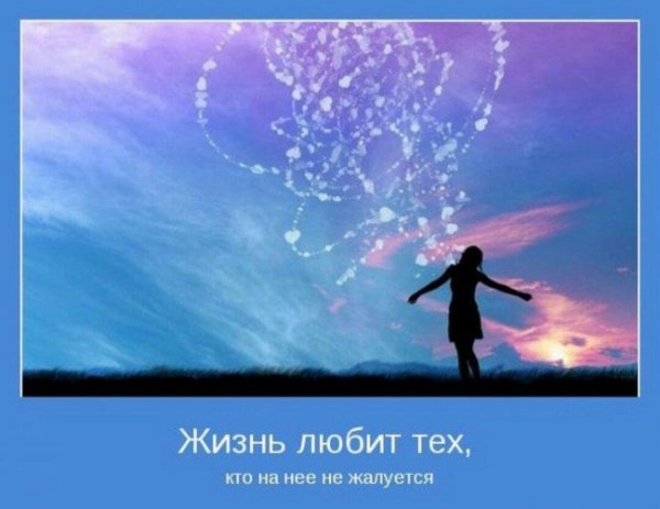 сбудутся мечты