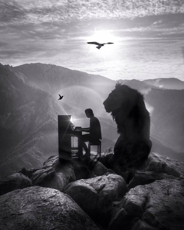 марсель ван льюит