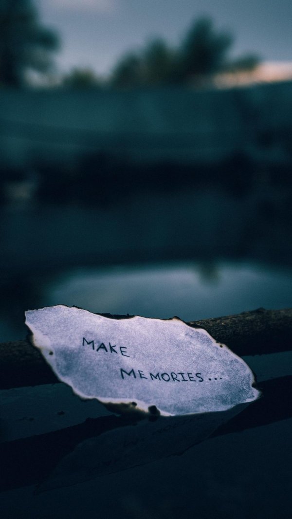 воспоминания эстетика