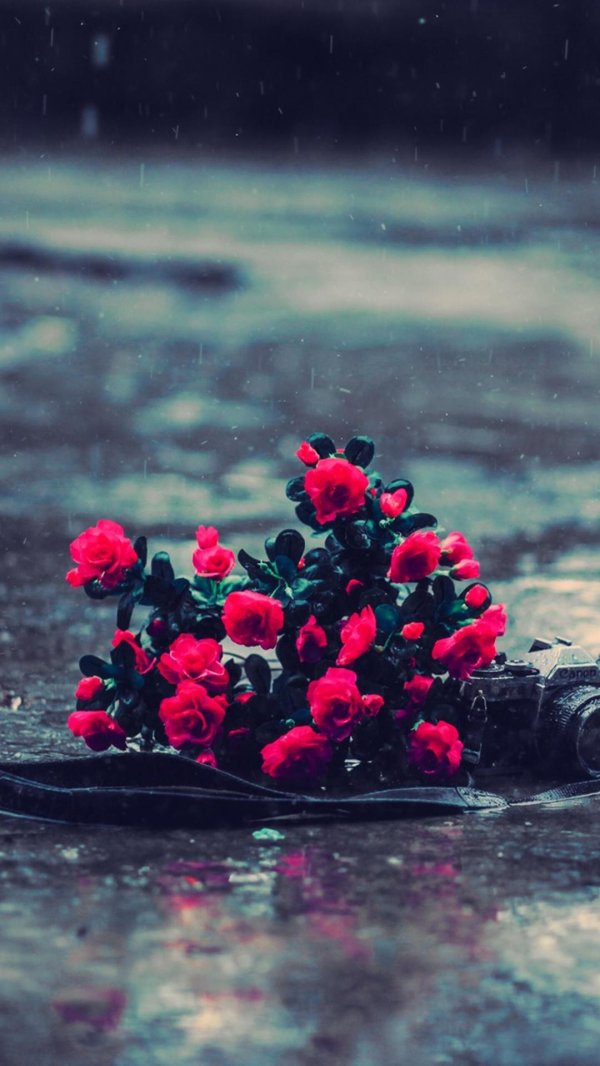 цветы расставания