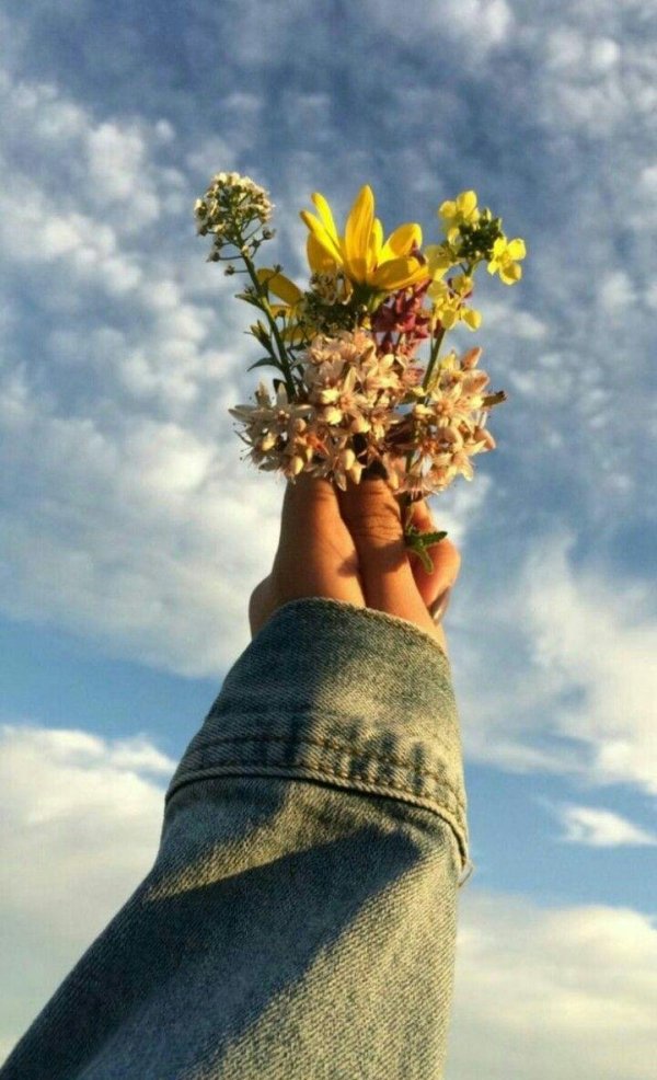 эстетика лета