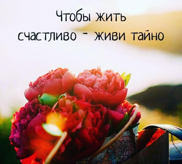жить счастливо
