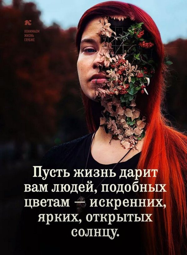 цитата красивая