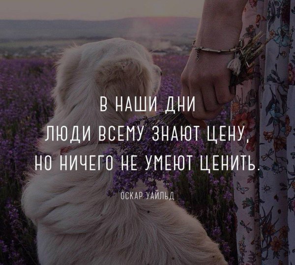 люди всему знают цену