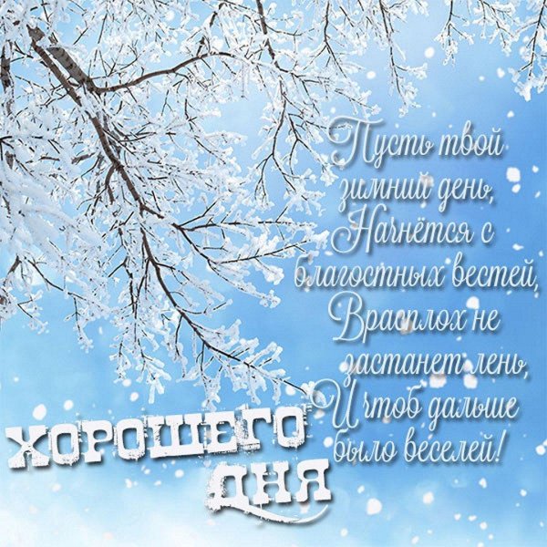 пожелания зимние
