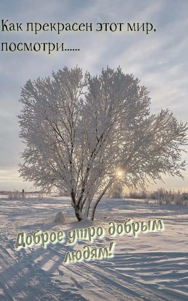 зимнего утра