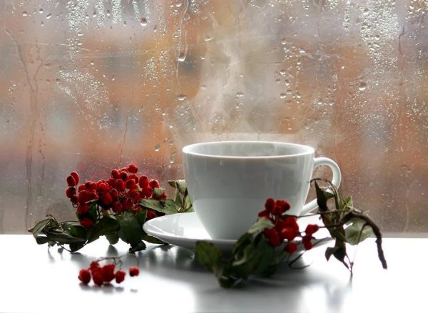 утро осеннее