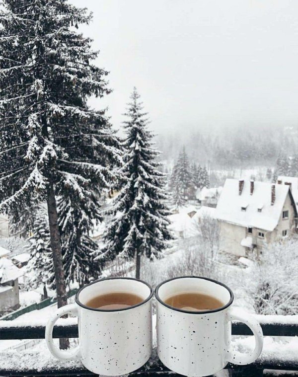 декабрьское утро