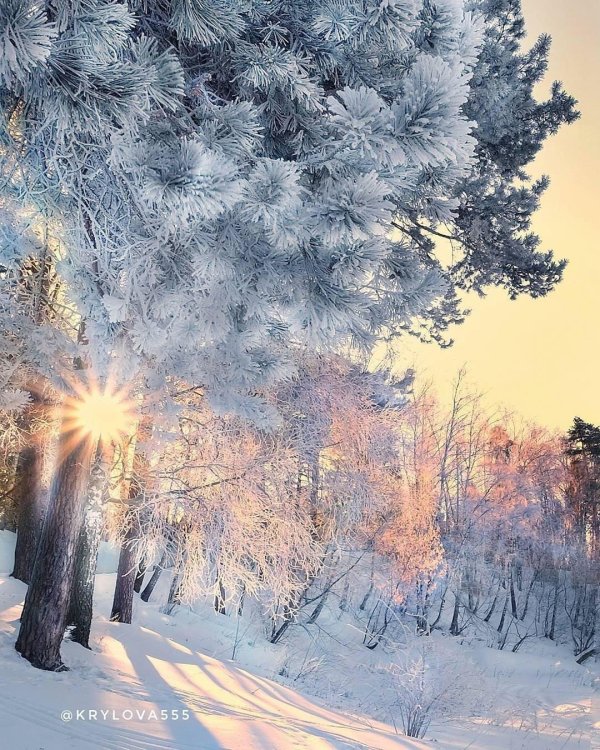 зимний пейзаж красивый