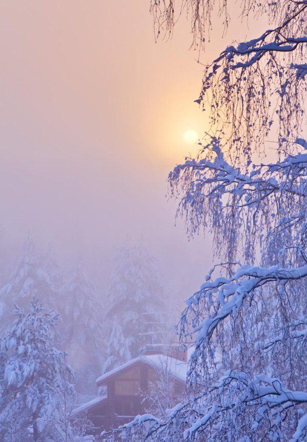 красивые зимние пейзажи