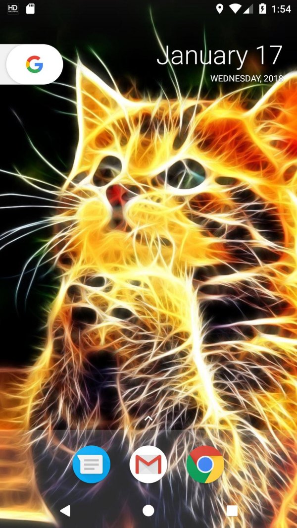 огненный котик