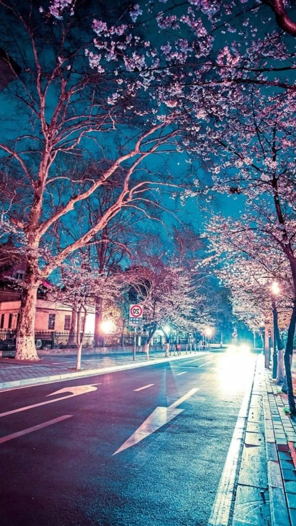 япония ночь