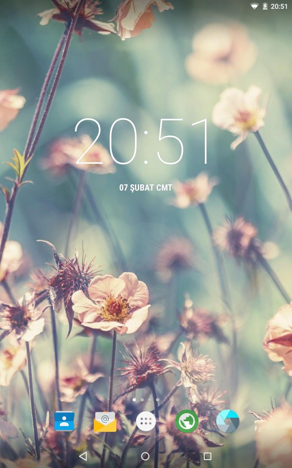 цветы в пастельных тонах