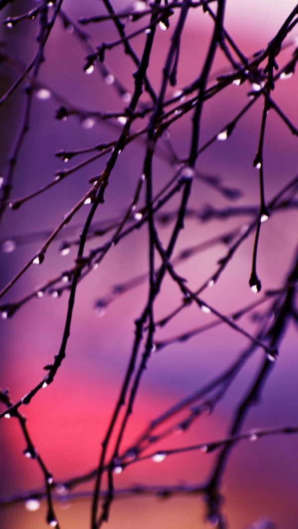 фотообои для телефона вертикальные