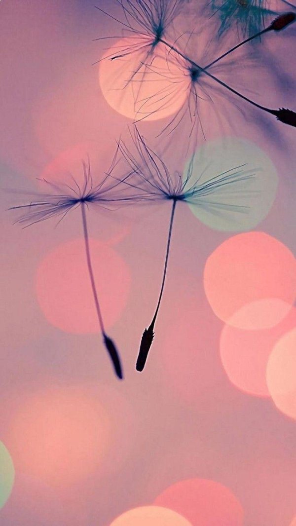 вдохновляющая заставка