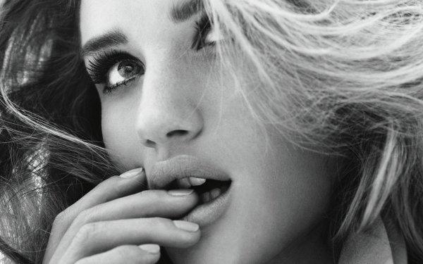 портрет знаменитостей