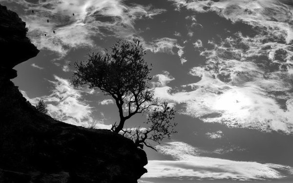 горы деревья