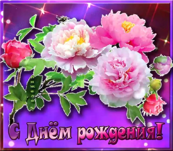 день рождения открытка красивая