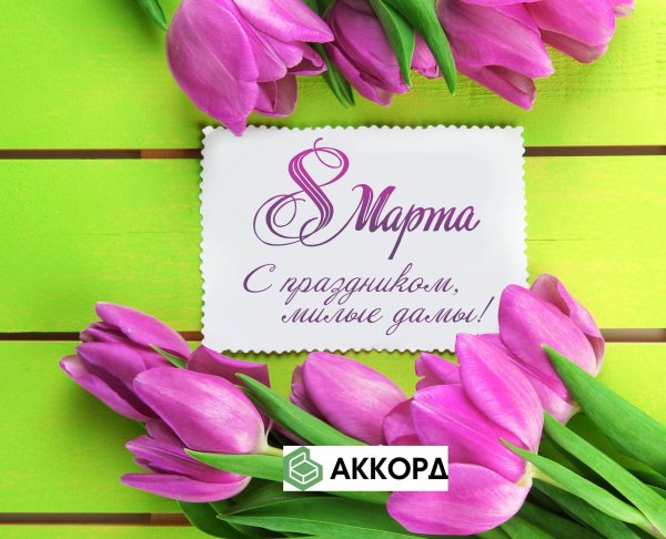 открытка с тюльпанами