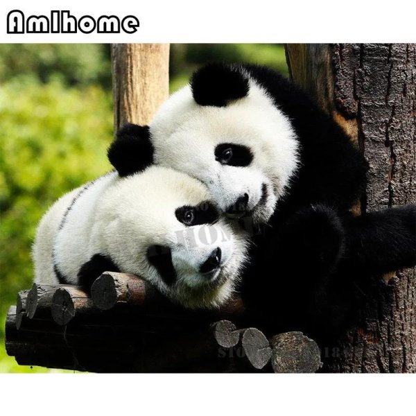 большая панда