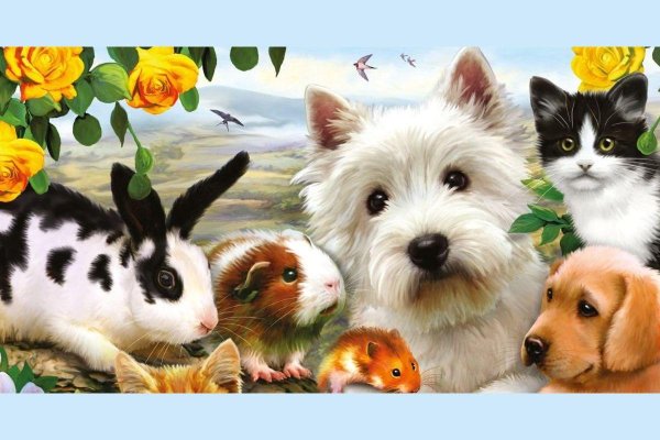 домашние питомцы