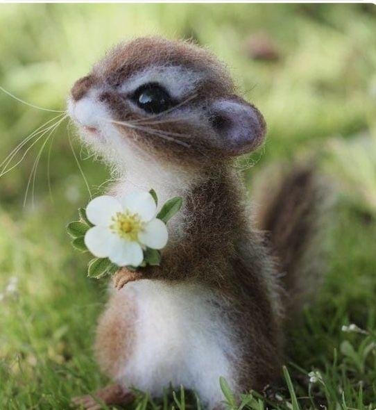 бурундук игрушка