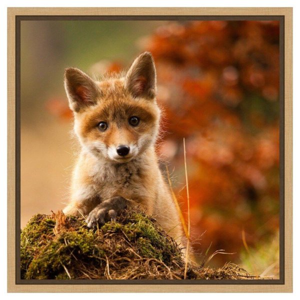 звери в лесу