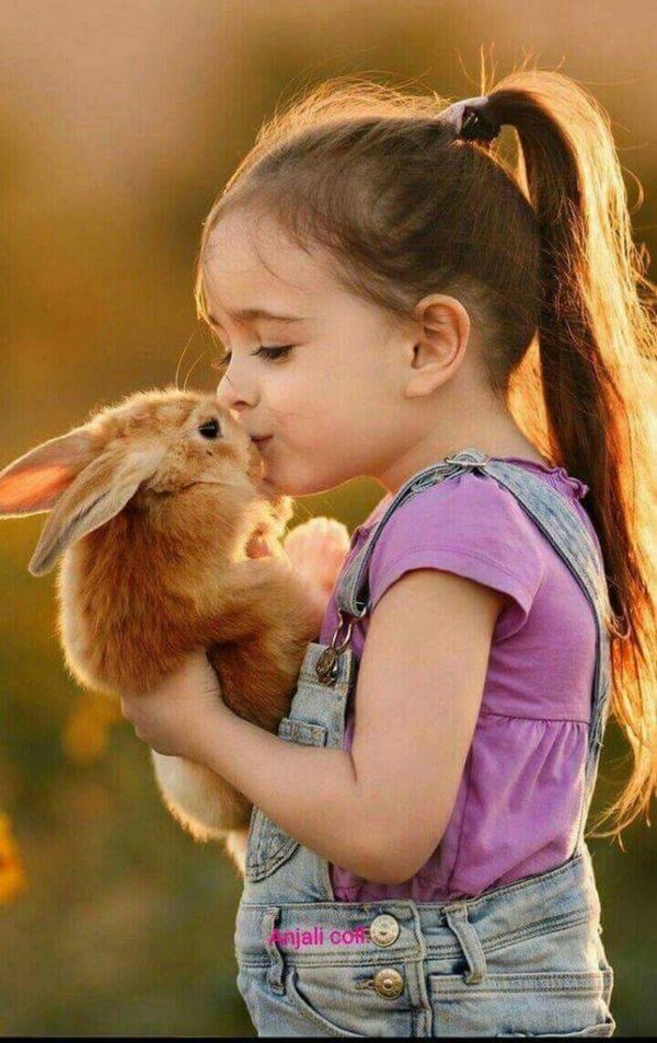 девочка с кроликом