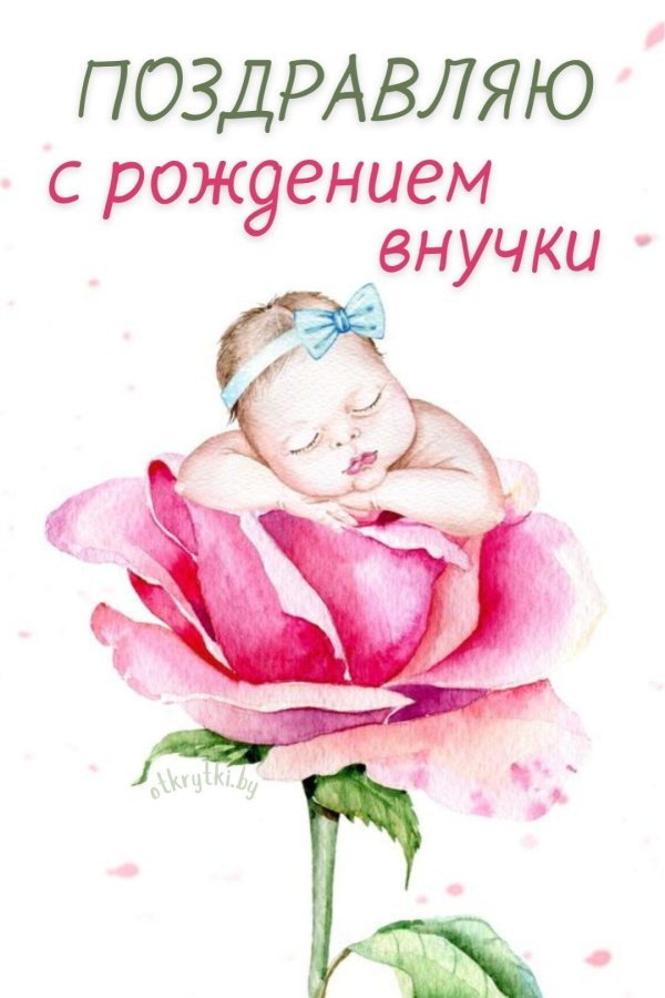 рождение внучки