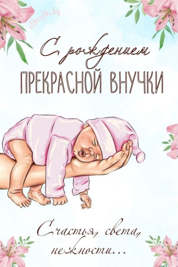 с рождением внучки открытка