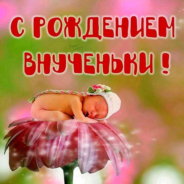 поздравление с новорожденной внучкой