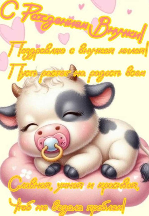 с новорожденной внучкой