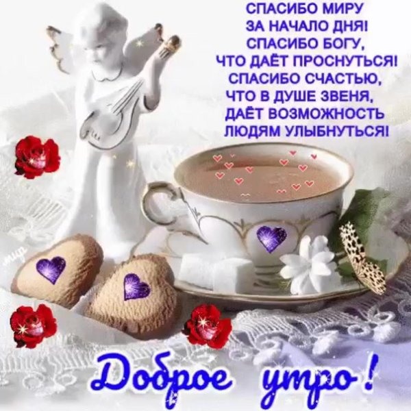 доброе утро пожелания красивые