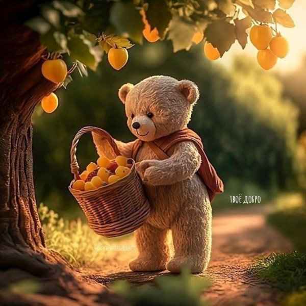 медведи плюшевые