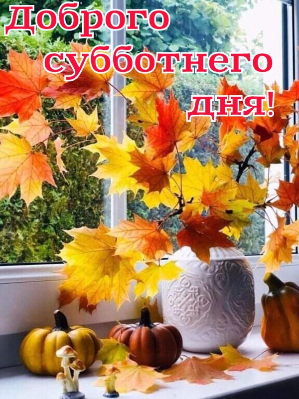 доброе субботнее осеннее утречко
