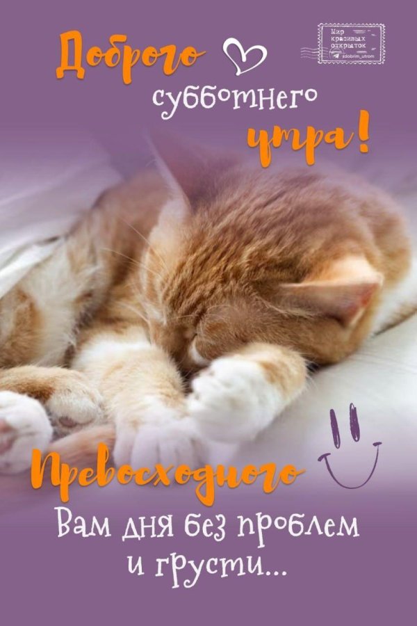 сдрбрым субботним утром