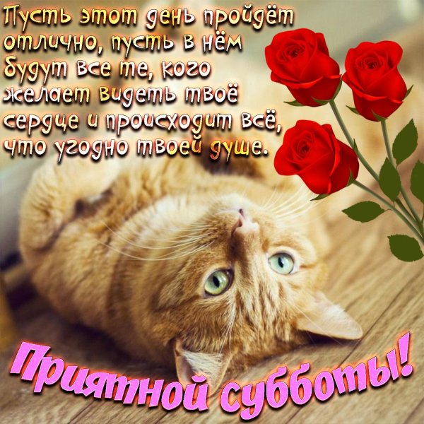 поздравление с субботой