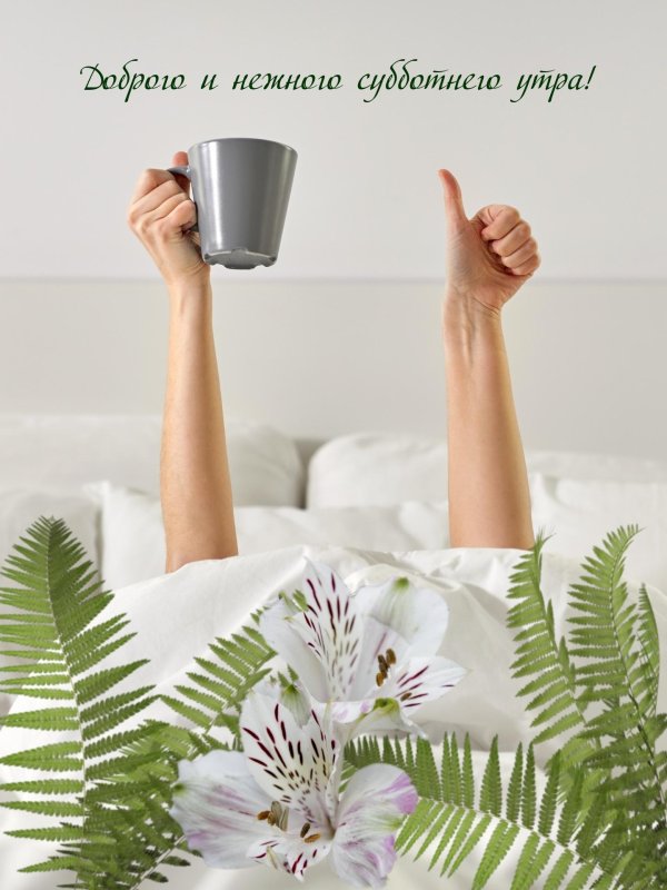 субботней нежности