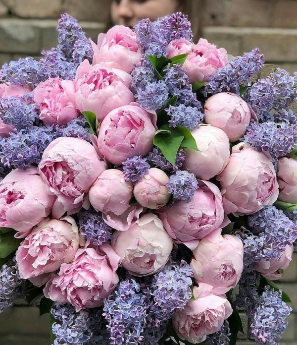 красивые букеты с пионами