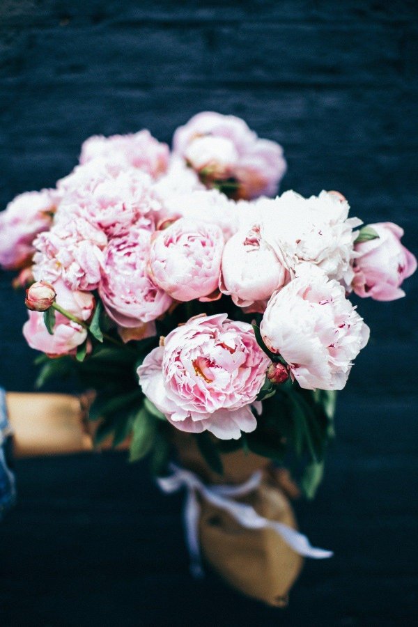 букет пионов эстетика
