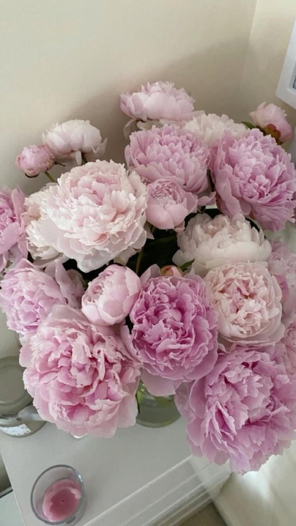 букет розовых пионов