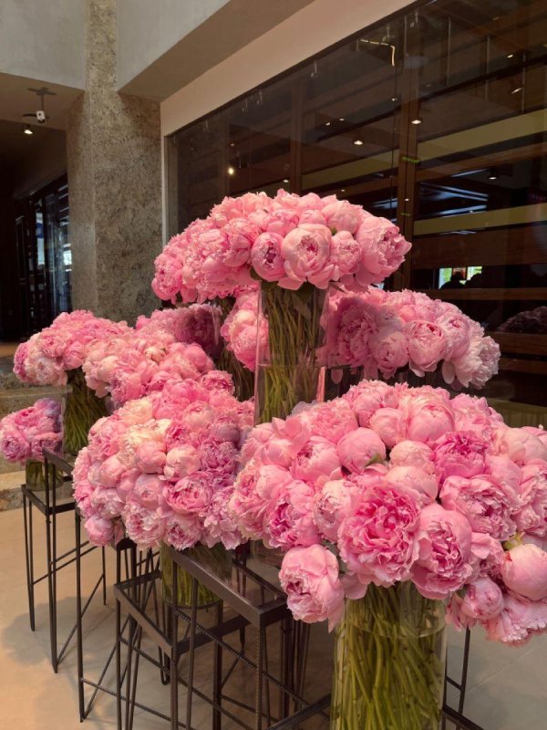 букет розовых пионов