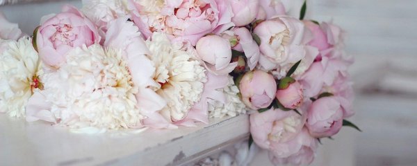 пудровые пионы