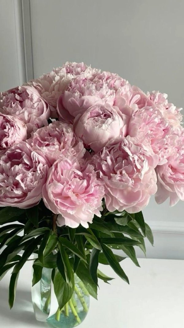 букет розовых пионов