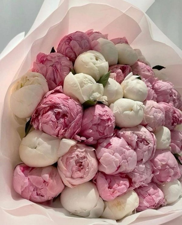 букет пионов