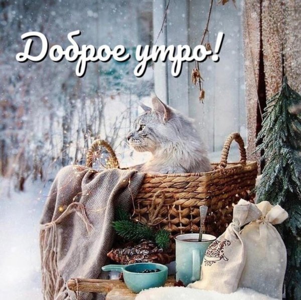 сказочного морозного утра