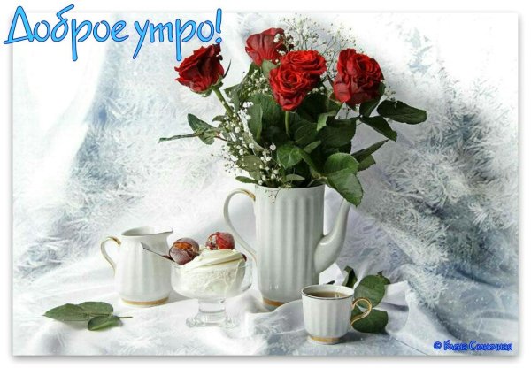 доброе утро зимние цветы